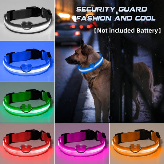 1Pcs Nylon Pet Dog Collar USB Rechargable LED Safety Light up Led Pet Collar Pet Strap Neck Flashing Belt for Small Large Dog